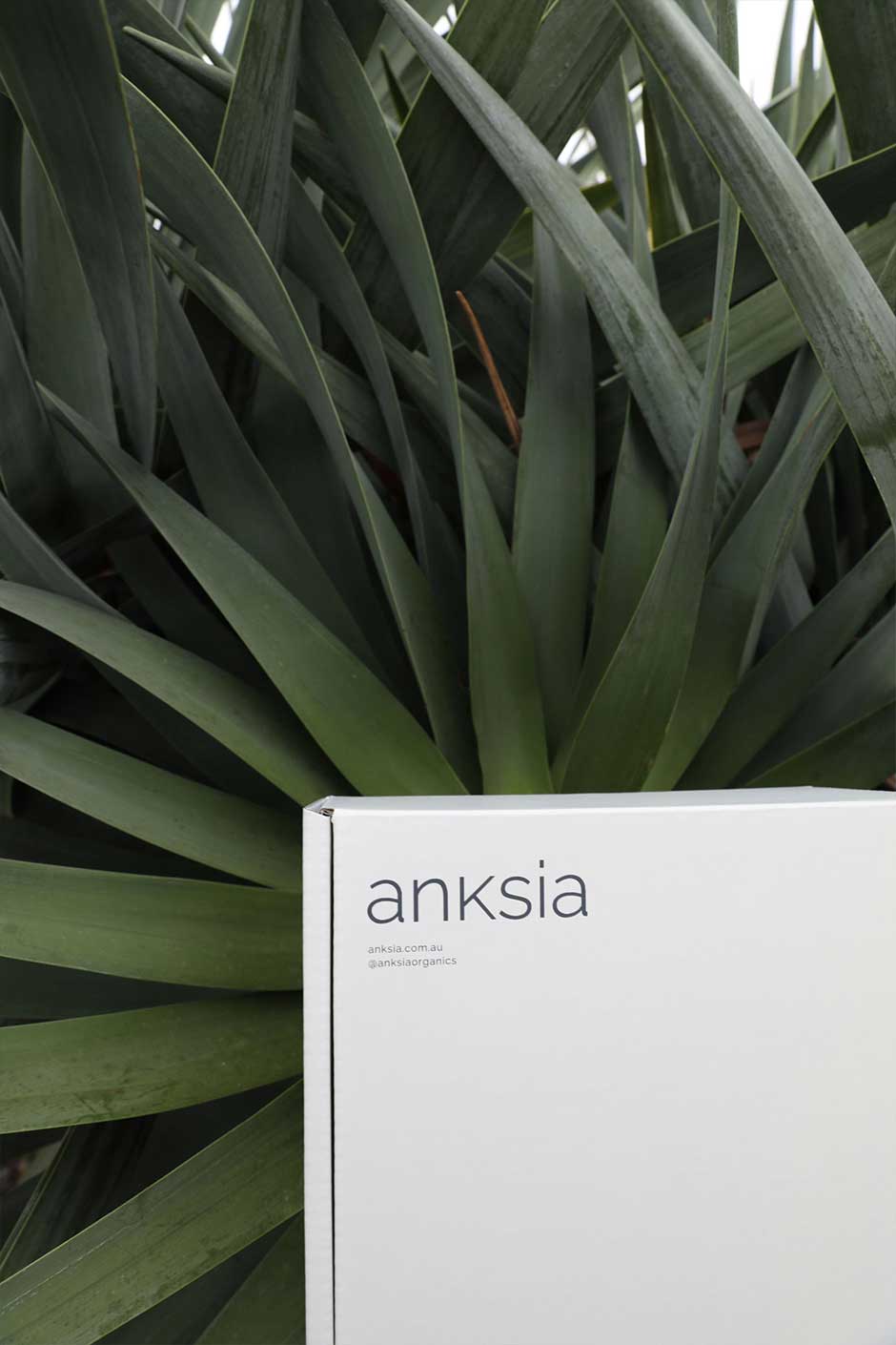 Anksia